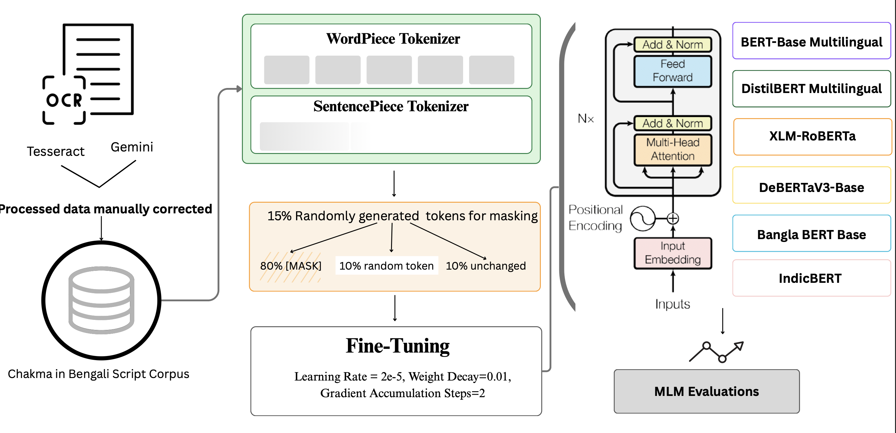 Exploring Cross-Lingual Knowledge Transfer via Transliteration-Based MLM Fine-Tuning for Critically Low-resource Chakma Language